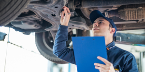 Vehicle Inspections